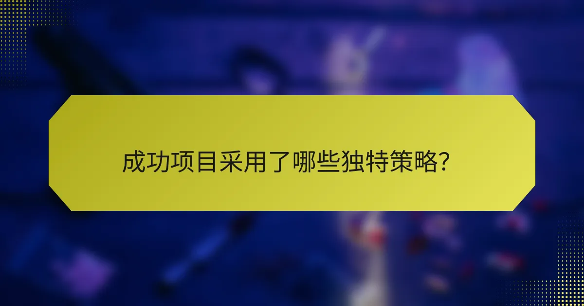 成功项目采用了哪些独特策略？