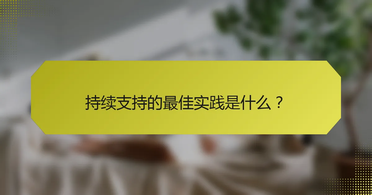 持续支持的最佳实践是什么？