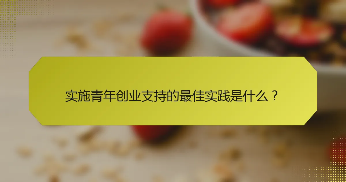 实施青年创业支持的最佳实践是什么?