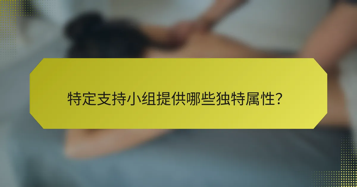特定支持小组提供哪些独特属性？