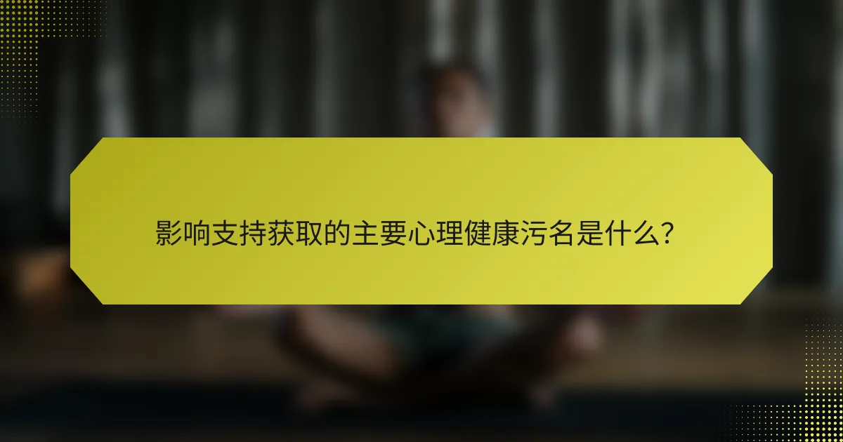 影响支持获取的主要心理健康污名是什么？