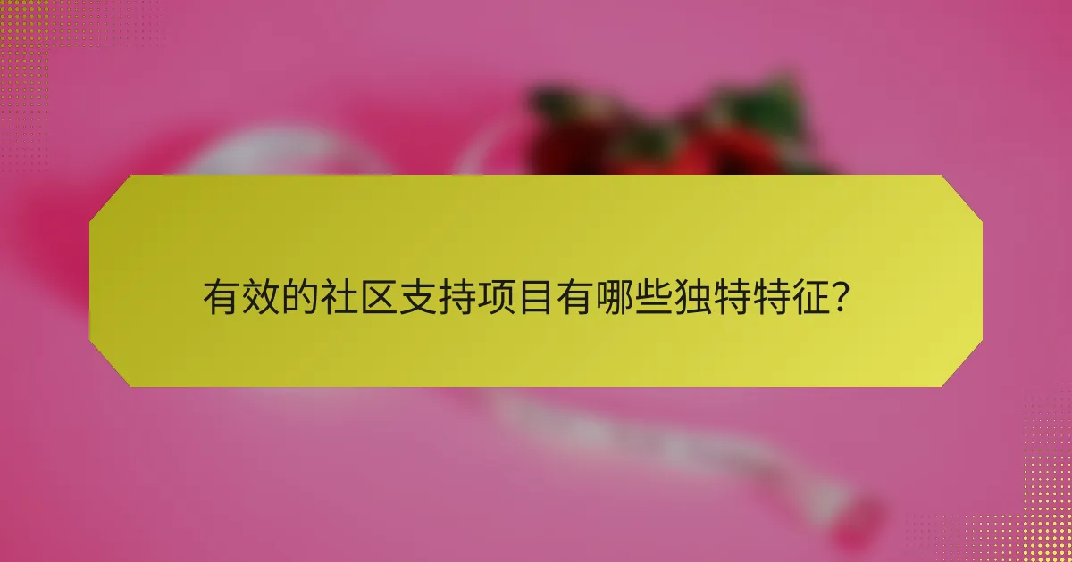 有效的社区支持项目有哪些独特特征?