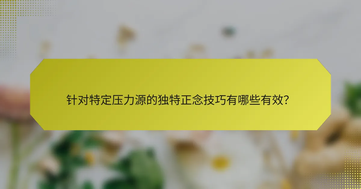 针对特定压力源的独特正念技巧有哪些有效?